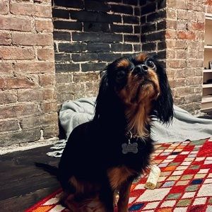 Meet your Posher, Michel